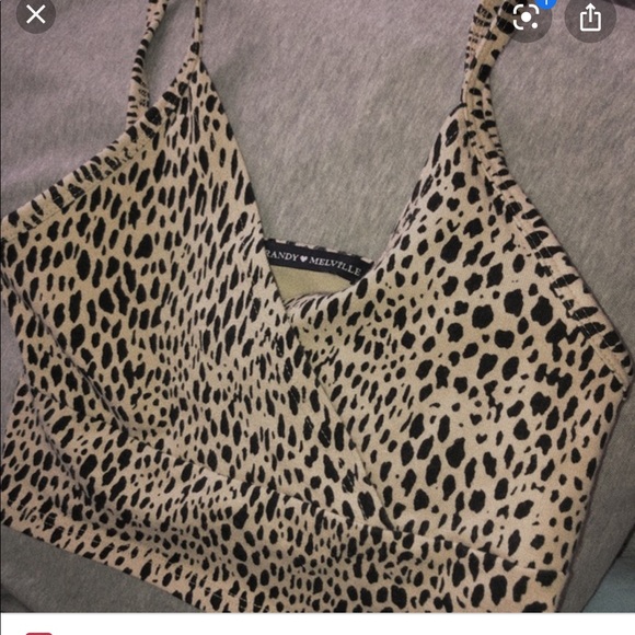 brandy ISO - Picture 3 of 7